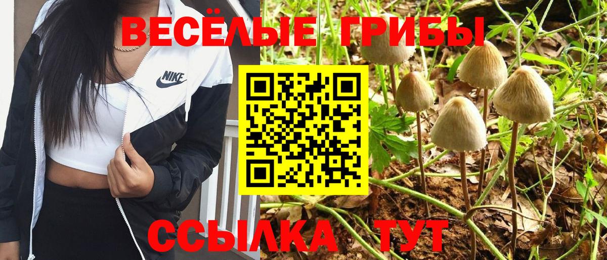 Муравленко  Псилоцибиновые грибы прущие грибы  Вход с VPN  Псилоцибиновые грибы GOLDEN TEACHER 